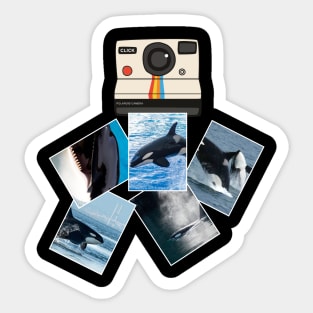 Orca Polaroid Sticker